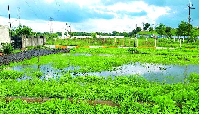 Outbreak of dengue in Corona | कोरोनात डेंग्यूचाही उद्रेक Outbreak of dengue in Corona | कोरोनात डेंग्यूचाही उद्रेक