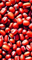 Five lakh quintals of turmeric | पाच लाख क्विंटल तुरीचे मातेरे Five lakh quintals of turmeric | पाच लाख क्विंटल तुरीचे मातेरे