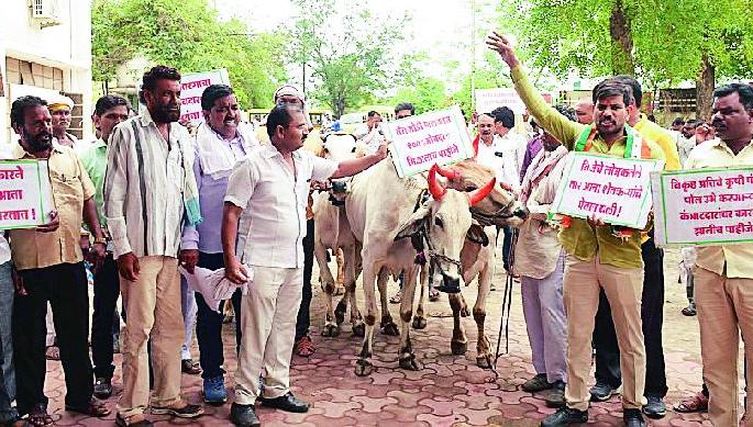 The collision with farmers' bails on the MSEDCL | महावितरण कार्यालयावर शेतकऱ्यांची बैलजोडीसह धडक