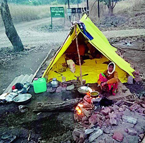 Old African tribal | जुन्या आठवणीत जंगलात रमले आदिवासी