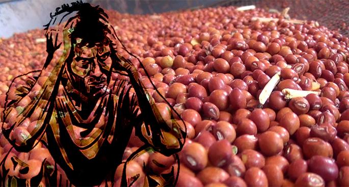 Last year's t Rs. 4.5 crores pending | गतवर्षीचे तूर, हरभऱ्याचे साडेचार कोटीचे चुकारे मिळणार कधी ?