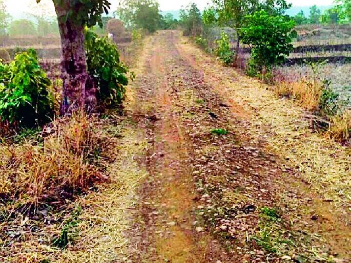  The ballast was rolled out on the street | रस्त्यावरील गिट्टी उखडली