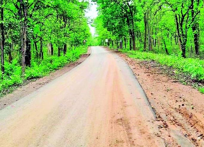 Spent billions on roads; But who travels? | रस्त्यासाठी कोट्यवधी खर्च केले; पण प्रवास करतो तरी कोण? Spent billions on roads; But who travels? | रस्त्यासाठी कोट्यवधी खर्च केले; पण प्रवास करतो तरी कोण?