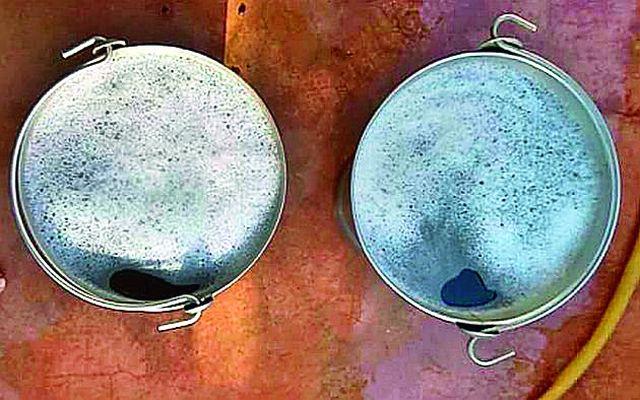 You can get watery and cold water supply | तुमसरात फेसयुक्त व काळसर पाण्याचा पुरवठा You can get watery and cold water supply | तुमसरात फेसयुक्त व काळसर पाण्याचा पुरवठा