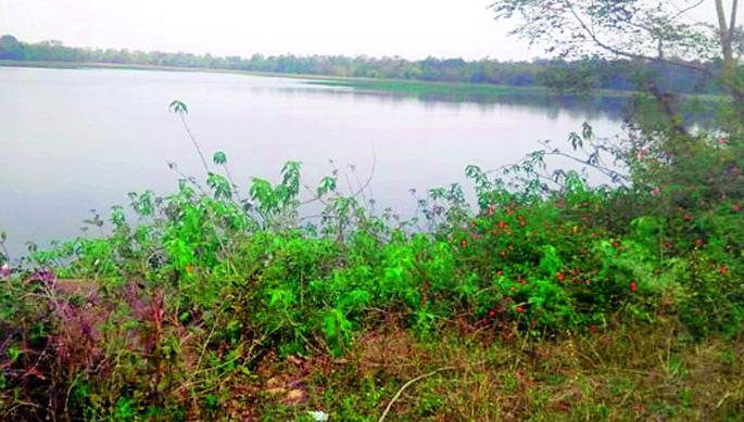 After 40 years, Rampuri reservoir is neglected | ४० वर्षानंतरही रामपुरी जलाशय दुर्लक्षित After 40 years, Rampuri reservoir is neglected | ४० वर्षानंतरही रामपुरी जलाशय दुर्लक्षित
