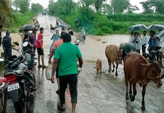 Gathering of rain gets light money | पावसाच्या हजेरीने हलक्या धानाला मिळाले जीवदान Gathering of rain gets light money | पावसाच्या हजेरीने हलक्या धानाला मिळाले जीवदान