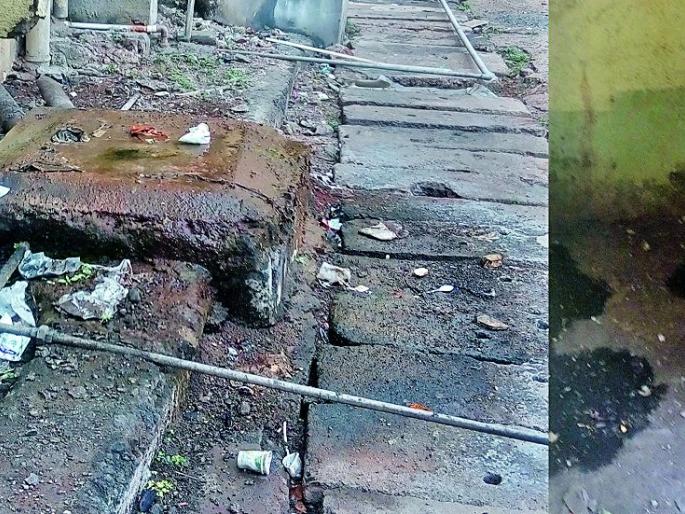 Blaze inside; Bark out | आतमध्ये झगमगाट; बाहेर भकास Blaze inside; Bark out | आतमध्ये झगमगाट; बाहेर भकास