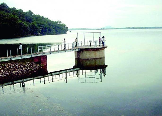 Satisfactory rains eased Rabi, summer irrigation concerns | समाधानकारक पावसाने रब्बी, उन्हाळी सिंचनाची चिंता मिटली Satisfactory rains eased Rabi, summer irrigation concerns | समाधानकारक पावसाने रब्बी, उन्हाळी सिंचनाची चिंता मिटली