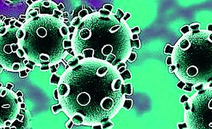 126 positives in the first week of July in the district | जिल्ह्यात जुलैच्या पहिल्या आठवड्यात १२६ पॉझिटिव्ह