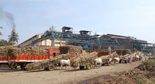 Tuesday's decision of the power of 'Bidri' | ‘बिद्री’ च्या सत्तेचा मंगळवारी फैसला Tuesday's decision of the power of 'Bidri' | ‘बिद्री’ च्या सत्तेचा मंगळवारी फैसला