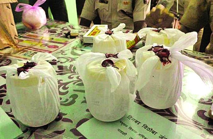 An autopsy of 'those' dead dogs in a girda | गिरड्यातील ‘त्या’ मृत कुत्र्यांचे शवविच्छेदन An autopsy of 'those' dead dogs in a girda | गिरड्यातील ‘त्या’ मृत कुत्र्यांचे शवविच्छेदन