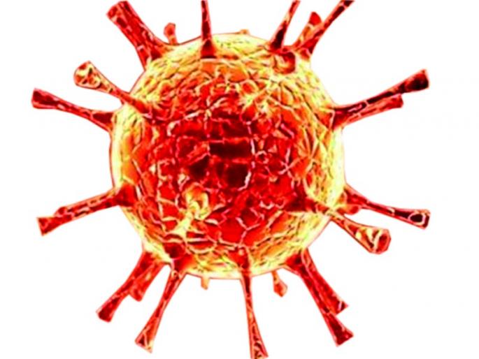 The number of coronaries crossed three hundred | कोरोनाबळींचा आकडा तीनशे पार