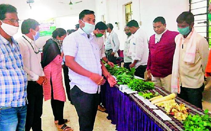 Zero cost natural crop legumes | शून्य खर्चातले नैसर्गिक पीक रानभाज्या Zero cost natural crop legumes | शून्य खर्चातले नैसर्गिक पीक रानभाज्या