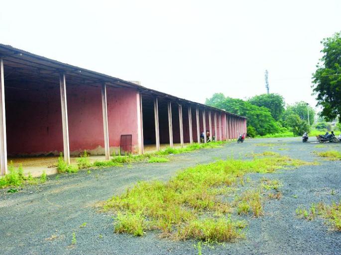 On the first day, there is no grains at government procurment centers! | पहिल्या दिवशी सरकारी खरेदी केंद्रांवर सोयाबीन, उडिदाचा दाणाही नाही!