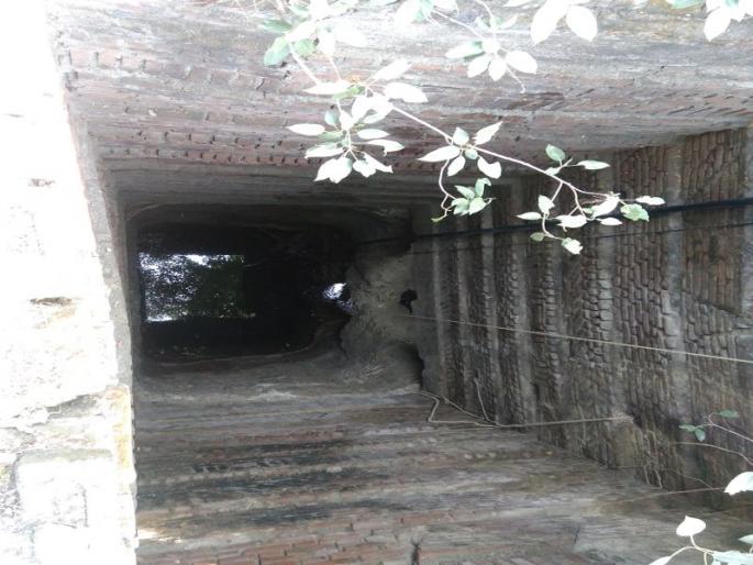 women left in 85 feet deep well in Jalgaon | जळगावात ८५ फूट खोल विहिरीत पडलेली विवाहिता बचावली women left in 85 feet deep well in Jalgaon | जळगावात ८५ फूट खोल विहिरीत पडलेली विवाहिता बचावली