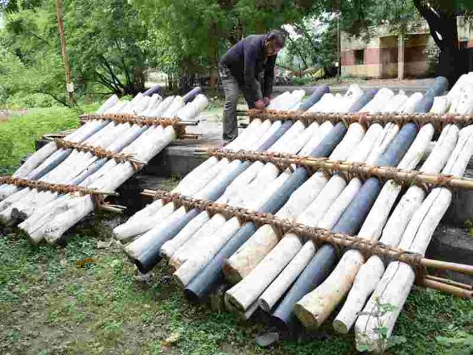 The power staff will be appointed until the immersion is complete | विसर्जन पूर्ण होईपर्यंत नियुक्त राहणार वीज कर्मचारी The power staff will be appointed until the immersion is complete | विसर्जन पूर्ण होईपर्यंत नियुक्त राहणार वीज कर्मचारी