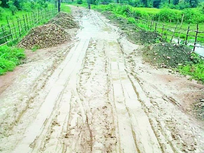 Roads in Suryapalli area are muddy | सूर्यापल्ली भागातील रस्ते चिखलमय