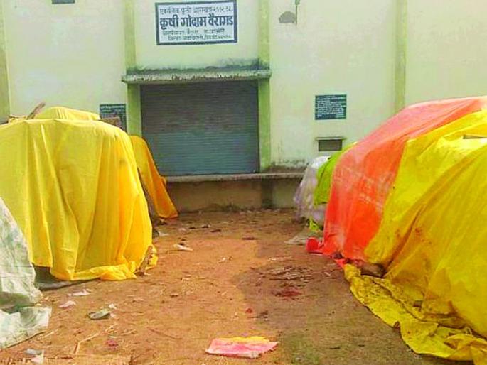 The plunder of farmers at the center of the Federation in Vairagada | वैरागडातील फेडरेशनच्या केंद्रावर शेतकऱ्यांची लूट The plunder of farmers at the center of the Federation in Vairagada | वैरागडातील फेडरेशनच्या केंद्रावर शेतकऱ्यांची लूट