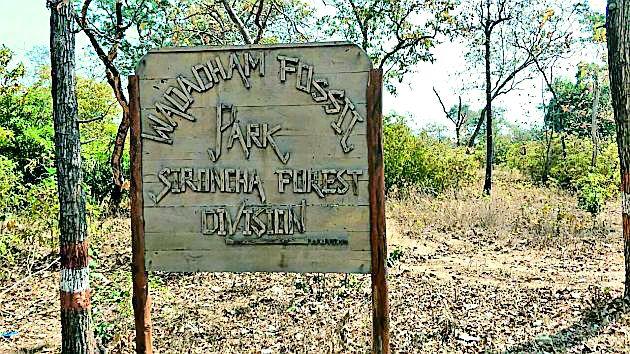 Dinosaur's 'Fossil Museum' in Sironchat | सिरोंचात डायनासोरचे ‘जीवाष्म संग्रहालय’ Dinosaur's 'Fossil Museum' in Sironchat | सिरोंचात डायनासोरचे ‘जीवाष्म संग्रहालय’