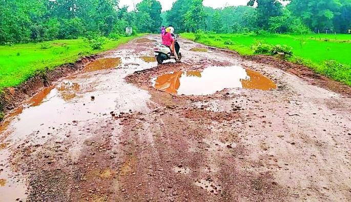 Korchi-Bhimpur road is muddy due to potholes | कोरची-भीमपूर मार्ग खड्ड्यांमुळे चिखलमय