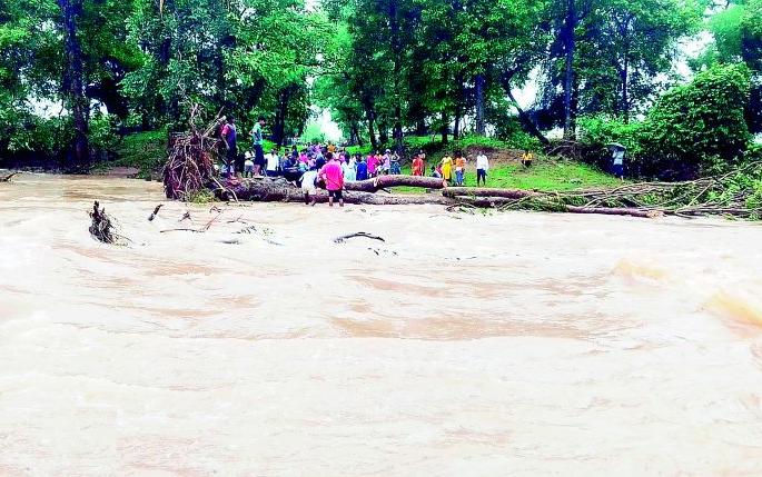 South Gadchiroli floods cause havoc | दक्षिण गडचिरोलीत पुरामुळे हाहाकार South Gadchiroli floods cause havoc | दक्षिण गडचिरोलीत पुरामुळे हाहाकार
