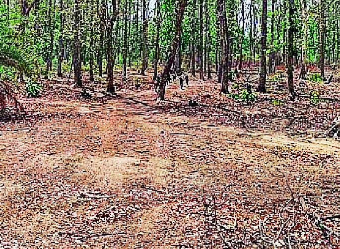 Due to road construction, former Z.P. President Wanda | रस्ता बांधकामामुळे माजी जि.प. अध्यक्ष वांद्यात