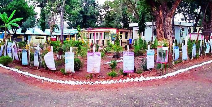 The government ashram school in Maseli got ISO status | मसेलीच्या शासकीय आश्रमशाळेला मिळाला आयएसओ दर्जा