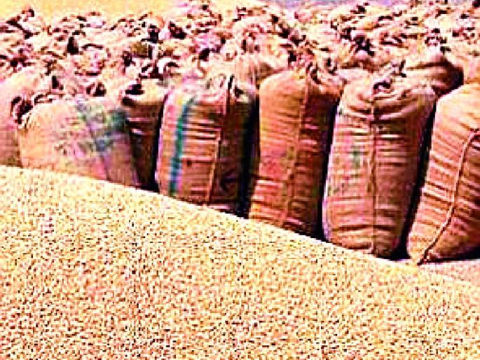 Only 50 percent payback | केवळ ५० टक्के धानाची भरडाई Only 50 percent payback | केवळ ५० टक्के धानाची भरडाई