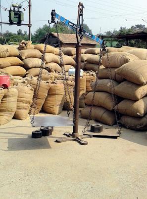 Purchase of Government Paddy from 16th | १६ पासून शासकीय धान खरेदी Purchase of Government Paddy from 16th | १६ पासून शासकीय धान खरेदी