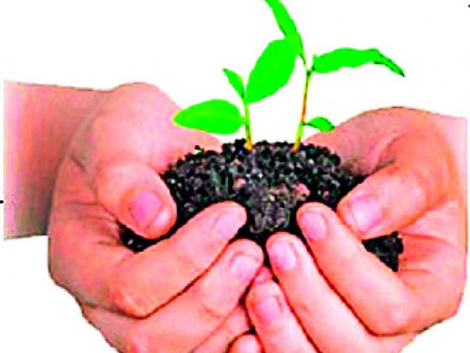 G.P. To plant six lakh saplings | ग्रा.पं. करणार सहा लाख रोपट्यांची लागवड