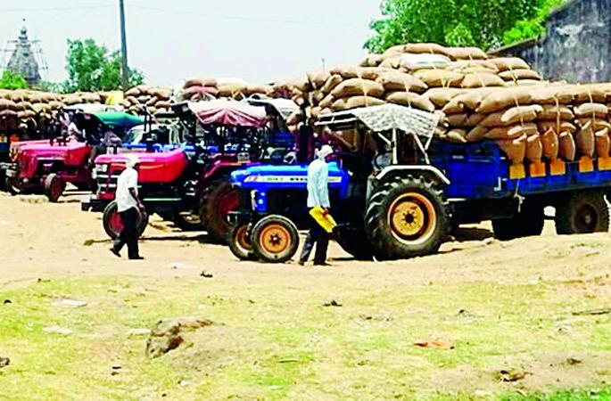 Dhan Aale district of Madhya Pradesh | मध्यप्रदेशातील धान आले जिल्ह्यात