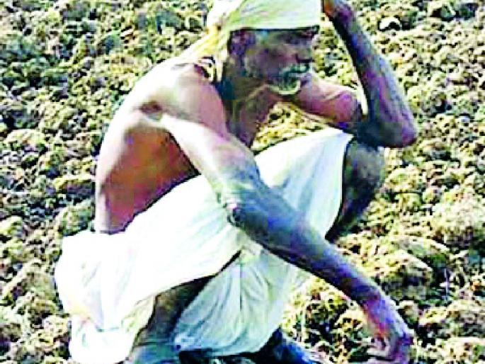 The government has forgotten to help the farmers who have a lot of farming | शेती पडीक असणाऱ्या शेतकऱ्यांना मदत देण्याचा शासनाला विसर The government has forgotten to help the farmers who have a lot of farming | शेती पडीक असणाऱ्या शेतकऱ्यांना मदत देण्याचा शासनाला विसर