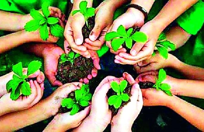 45 lakh 29 thousand 500 saplings will be planted in the district | जिल्ह्यात लावणार ४५ लाख २९ हजार ५०० रोपटी 45 lakh 29 thousand 500 saplings will be planted in the district | जिल्ह्यात लावणार ४५ लाख २९ हजार ५०० रोपटी