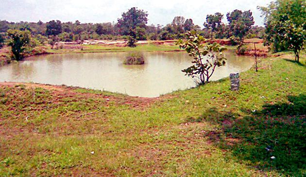 Facilitate irrigation of farmers by boards | बोडीतून शेतकºयांना सिंचनाची सोय Facilitate irrigation of farmers by boards | बोडीतून शेतकºयांना सिंचनाची सोय