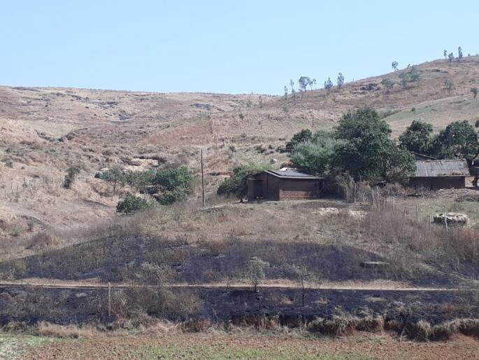 The students at the school extinguished the fire ... | शाळेतल्या विद्यार्थ्यांनी विझवला वणवा... The students at the school extinguished the fire ... | शाळेतल्या विद्यार्थ्यांनी विझवला वणवा...