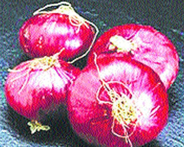 Extension for onion subsidy till April 15 | कांदा अनुदानासाठी १५ एप्रिलपर्यंत मुदतवाढ Extension for onion subsidy till April 15 | कांदा अनुदानासाठी १५ एप्रिलपर्यंत मुदतवाढ