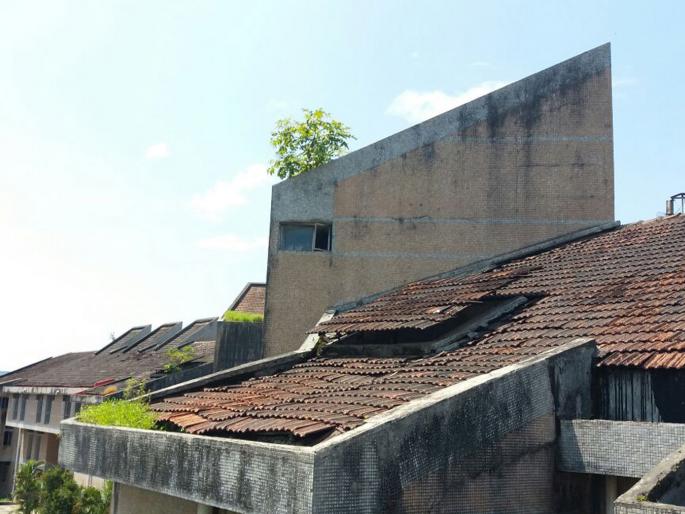 Government buildings lost in a tree; Sindhudurg district administration ignored | शासकीय इमारती झाडीत हरवल्या, सिंधुदुर्ग जिल्हा प्रशासनाचे दुर्लक्ष Government buildings lost in a tree; Sindhudurg district administration ignored | शासकीय इमारती झाडीत हरवल्या, सिंधुदुर्ग जिल्हा प्रशासनाचे दुर्लक्ष