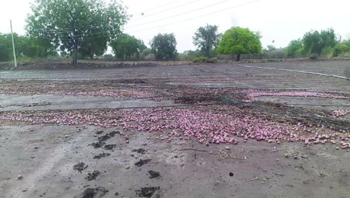 Flash out 70 quintals of onion from farm | कांदा चाळीतील ७० क्विंटल कांदा गेला वाहून