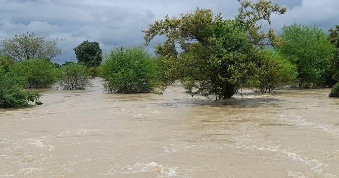 Havoc of rain in Nagpur district, hundreds of hectares of agriculture in water | नागपूर जिल्ह्यात पावसाचा कहर, शेकडो हेक्टर शेती पाण्यात Havoc of rain in Nagpur district, hundreds of hectares of agriculture in water | नागपूर जिल्ह्यात पावसाचा कहर, शेकडो हेक्टर शेती पाण्यात