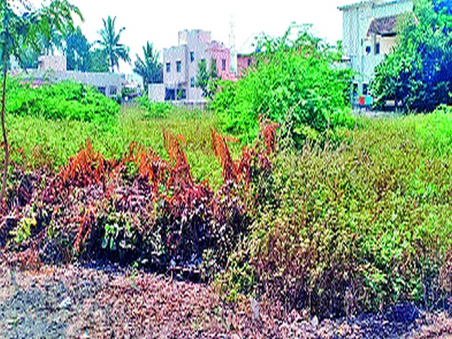 Jijaunagar, Anand, Inspired by Colony Problems | जिजाऊनगर, आनंद, प्रेरणा कॉलनी समस्यांच्या विळख्यात Jijaunagar, Anand, Inspired by Colony Problems | जिजाऊनगर, आनंद, प्रेरणा कॉलनी समस्यांच्या विळख्यात