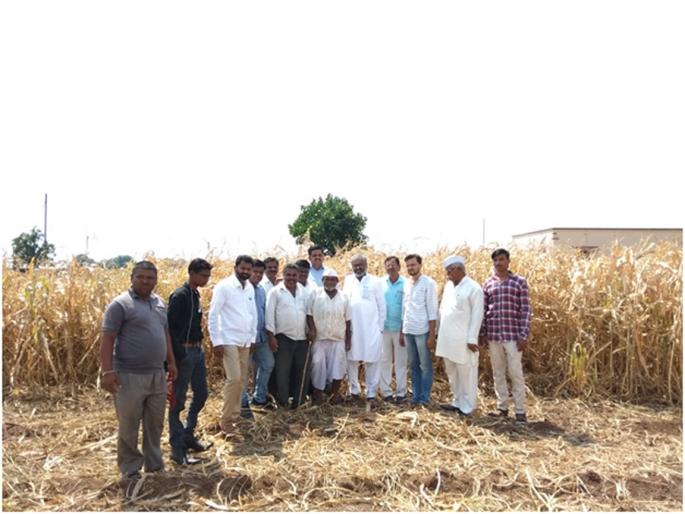 Pasha Patel's Chandwad taluka's Drought Study Visit | पाशा पटेल यांचा चांदवड तालुका दुष्काळी पाहणी दौरा Pasha Patel's Chandwad taluka's Drought Study Visit | पाशा पटेल यांचा चांदवड तालुका दुष्काळी पाहणी दौरा