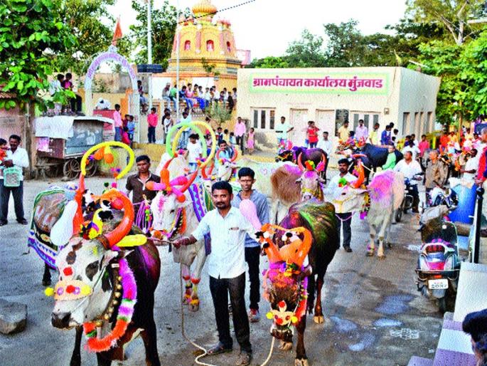 Due to drought, only the enthusiasm of farmers in the farmers | दुष्काळाचे सावट मात्र शेतकऱ्यांमध्ये पोळ्याचा उत्साह कायम Due to drought, only the enthusiasm of farmers in the farmers | दुष्काळाचे सावट मात्र शेतकऱ्यांमध्ये पोळ्याचा उत्साह कायम