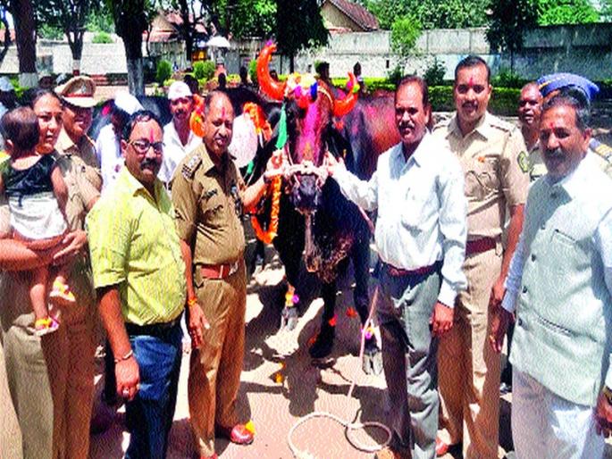 In Nashik Road, Pola is excited | नाशिकरोडला पोळा उत्साहात In Nashik Road, Pola is excited | नाशिकरोडला पोळा उत्साहात