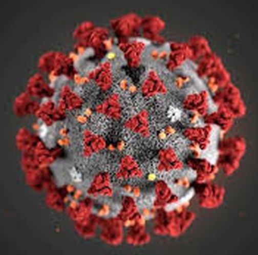 Another patient in Navapur | नवापुरात आणखी एक रूग्ण Another patient in Navapur | नवापुरात आणखी एक रूग्ण