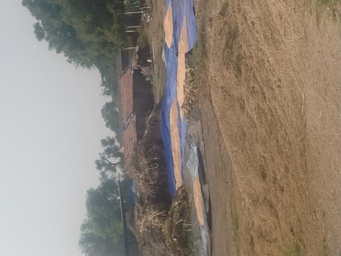 On the verge of extinction in rural areas | ग्रामिण भागातील खळे नामशेष होण्याच्या मार्गावर On the verge of extinction in rural areas | ग्रामिण भागातील खळे नामशेष होण्याच्या मार्गावर