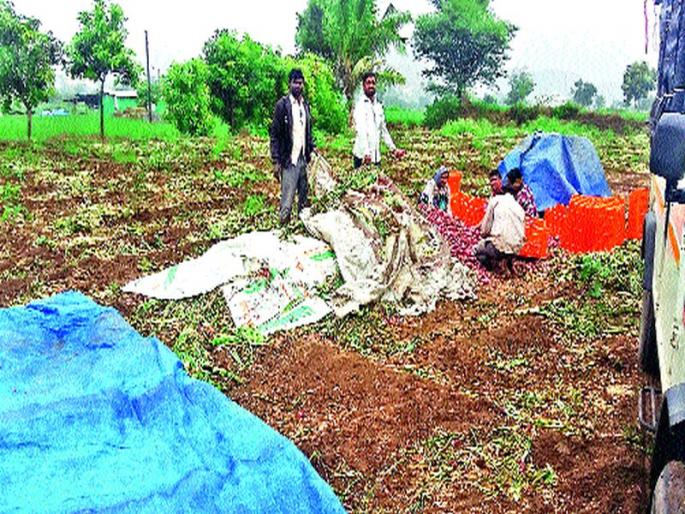 'Oki' has done the hilt! | ‘ओखी’ने केले हवालदिल! 'Oki' has done the hilt! | ‘ओखी’ने केले हवालदिल!