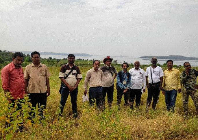 Various species appeared in the forest | कुºहे वनात घडले विविध प्रजातींचे दर्शन Various species appeared in the forest | कुºहे वनात घडले विविध प्रजातींचे दर्शन