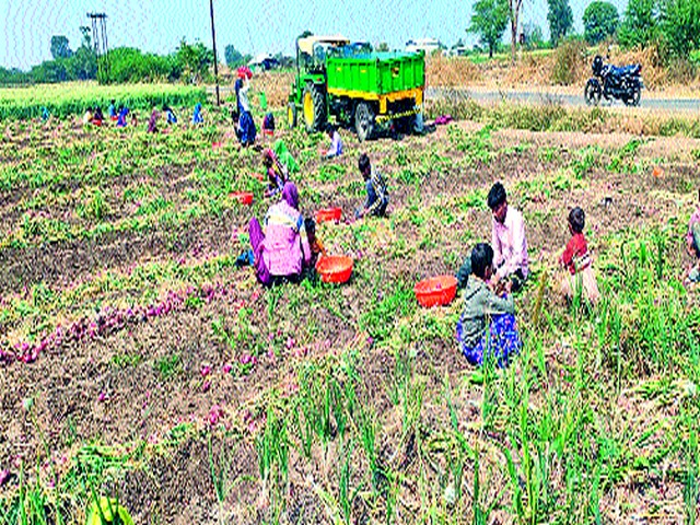 Farmers' financial constraints | शेतकऱ्यांची आर्थिक कोंडी