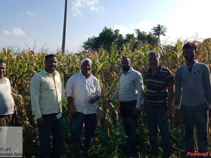 Thirty-five hundred hectare area of Panchamanam is completed at Thangaon | ठाणगाव येथे साडेचारशे हेक्टर क्षेत्राचे पंचनामे पूर्ण Thirty-five hundred hectare area of Panchamanam is completed at Thangaon | ठाणगाव येथे साडेचारशे हेक्टर क्षेत्राचे पंचनामे पूर्ण