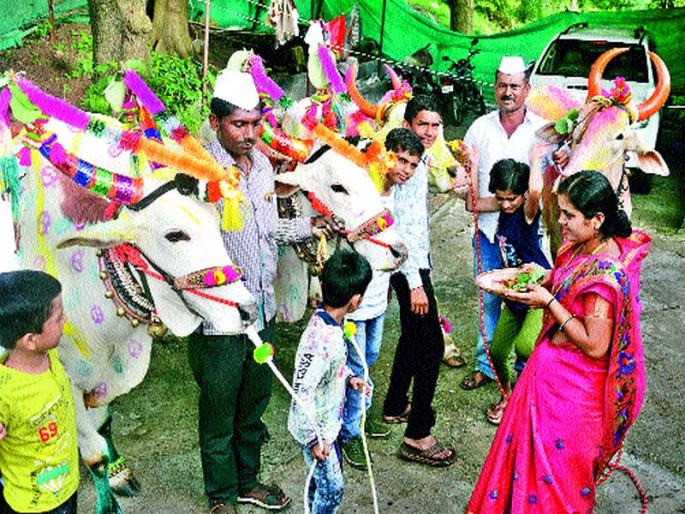 Sarajaraja's procession | ‘सर्जाराजा’ची मिरवणूक Sarajaraja's procession | ‘सर्जाराजा’ची मिरवणूक